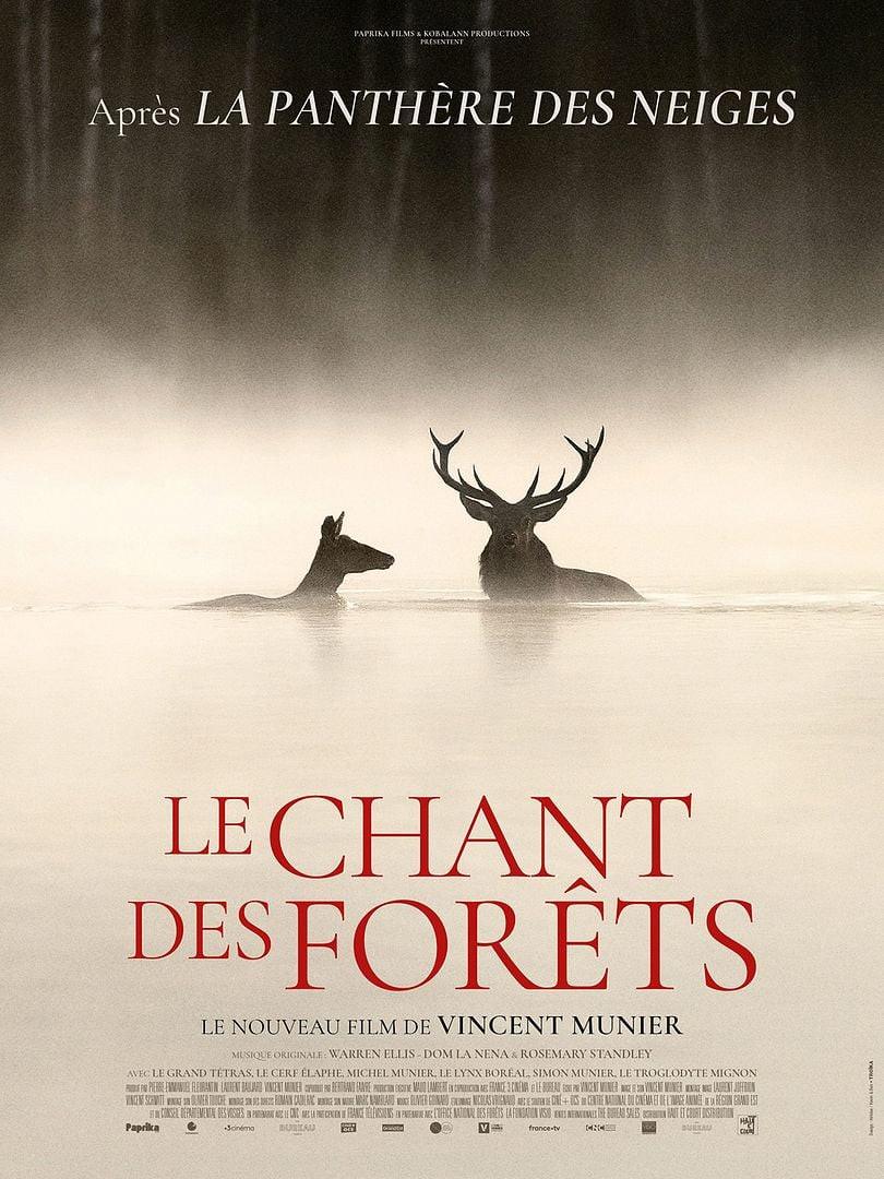 CINÉMA : LE CHANT DES FORÊTS